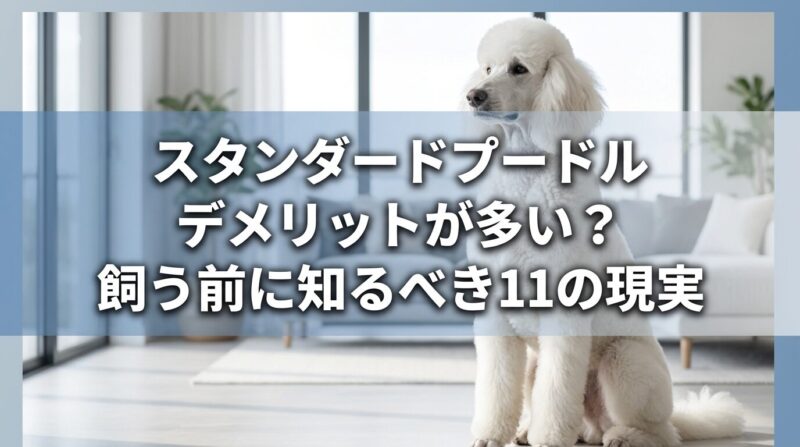 「スタンダードプードルのデメリットと飼育前に知るべき現実を解説するアイキャッチ画像。白いスタンダードプードルと記事タイトルが表示されている。」