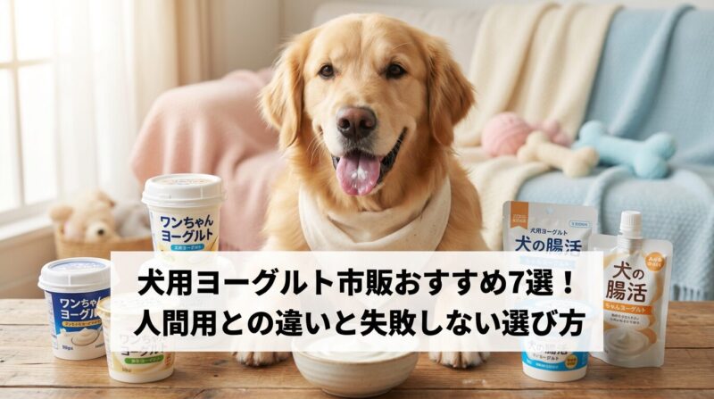 犬用ヨーグルト市販おすすめ7選とヨーグルトを食べる幸せそうな犬の画像、人間用との違いと選び方を解説