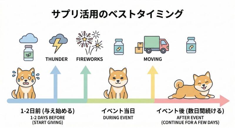 ストレスケアサプリ活用のベストタイミング図 雷や留守番など、柴犬がストレスを感じるイベントに向けたケアサプリメントの適切な投与スケジュールとタイムライン