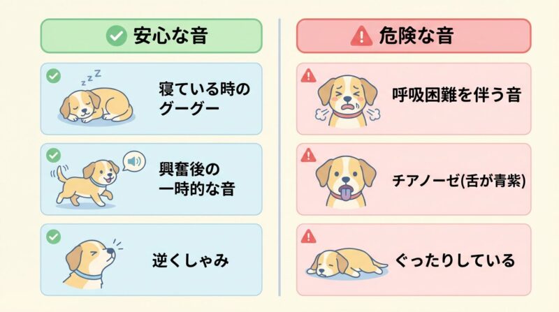 犬の呼吸音チェック表・安心な音と危険な音の見分け方 犬がグーグーと鼻を鳴らす時の安全な音と危険な音の比較チャート。左側に安心な音(寝ている時、興奮後、逆くしゃみ)、右側に危険な音(呼吸困難、チアノーゼ、ぐったりしている状態)を示した図解