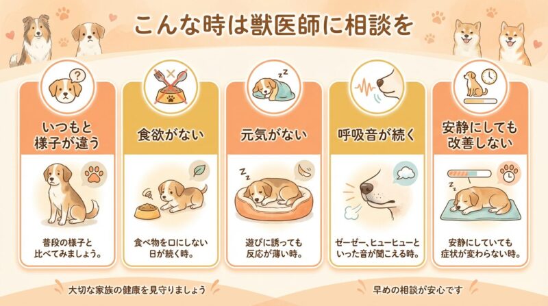 犬の呼吸異常・すぐ病院へ行くべき危険サインチェックリスト 犬がグーグーと鼻を鳴らす時に獣医師に相談すべきタイミング。いつもと様子が違う、食欲がない、元気がない、呼吸音が続く、安静にしても改善しないなどの観察ポイントを示した横長の図解