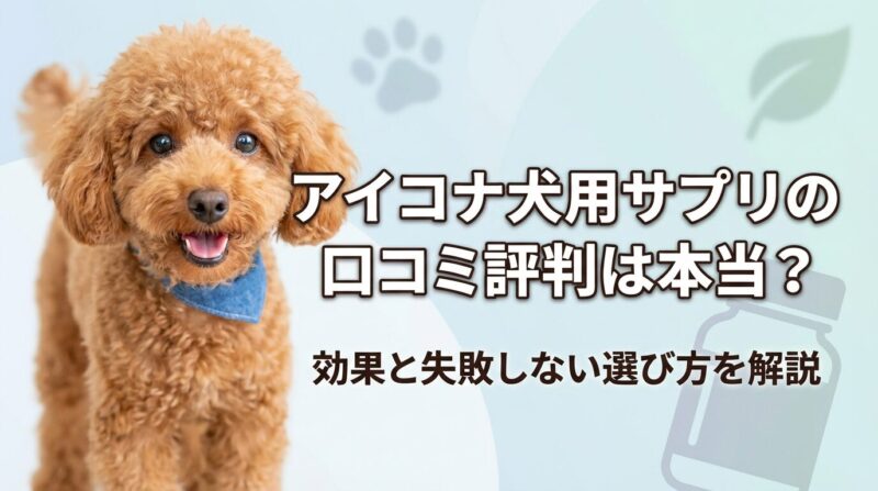 健康的で元気な小型犬（トイプードル）の写真と「アイコナ犬用サプリの口コミ評判は本当？効果と失敗しない選び方を解説」というテキストが中央に配置されたブログアイキャッチ画像。明るく清潔感のあるパステルブルーの背景で、ペット用サプリメント記事の信頼性と専門性を表現。モバイル最適化されたGoogleディスカバー向けデザイン。