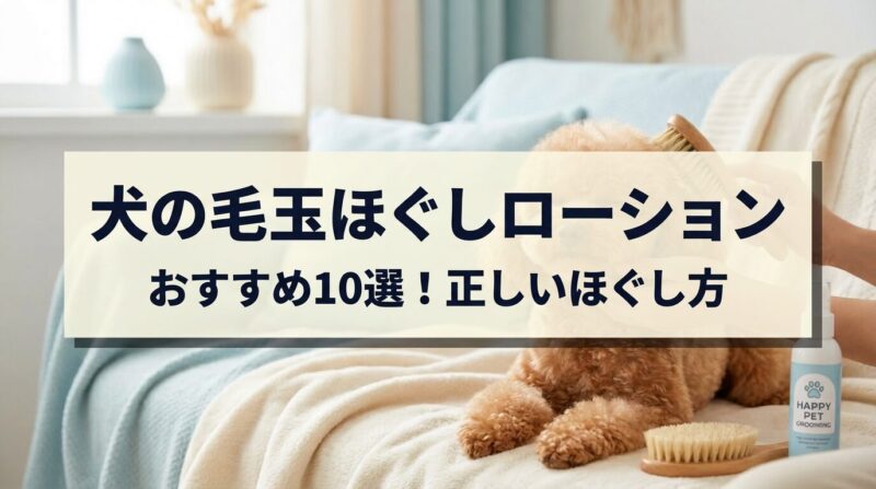 犬の毛玉ほぐしローションおすすめ10選の記事アイキャッチ画像。トイプードルやポメラニアンなどの長毛犬を優しくブラッシングしている様子。グルーミングスプレーボトルも写っており、プロフェッショナルで温かみのあるペットケアのイメージ。