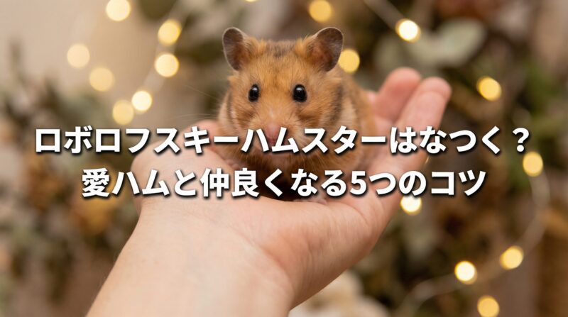 手のひらに乗った小さなロボロフスキーハムスターの写真。「ロボロフスキーハムスターはなつく?愛ハムと仲良くなる5つのコツ」のテキストが中央に配置されている。
