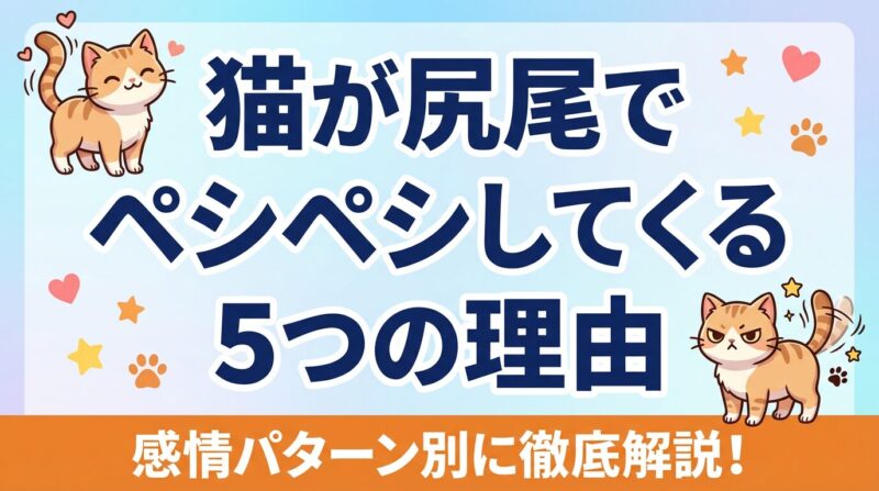猫が尻尾でペシペシしてくる5つの理由を感情パターン別に徹底解説