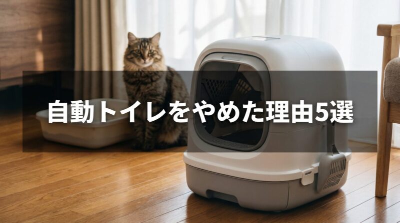 猫の自動トイレと通常トイレの比較-自然光で撮影されたリアルな商品レビュー