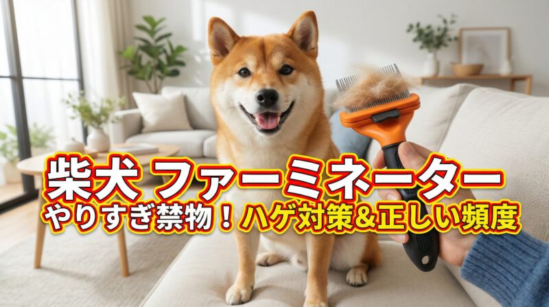柴犬にファーミネーターのやりすぎは禁物！適切な頻度とハゲ対策