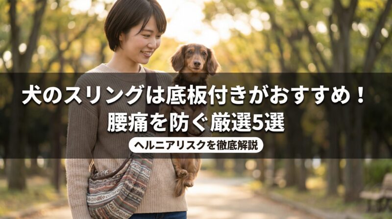 底板付き犬用スリングに入りリラックスするダックスフンド