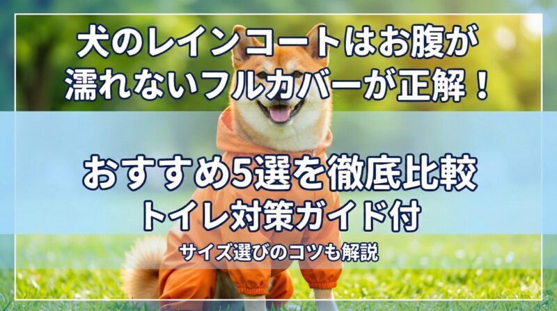 お腹が濡れない犬用フルカバーレインコートのおすすめ5選とトイレ対策を解説