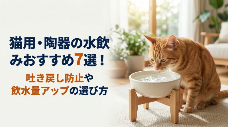 猫用・陶器の水飲みおすすめ7選！吐き戻し防止や飲水量アップの選び方