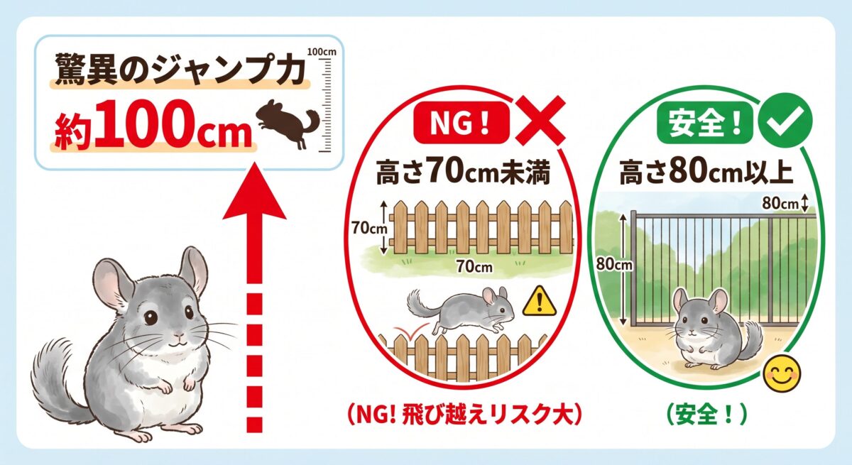 チンチラの跳躍力と部屋んぽサークルに必要な高さ(80cm以上)の図解