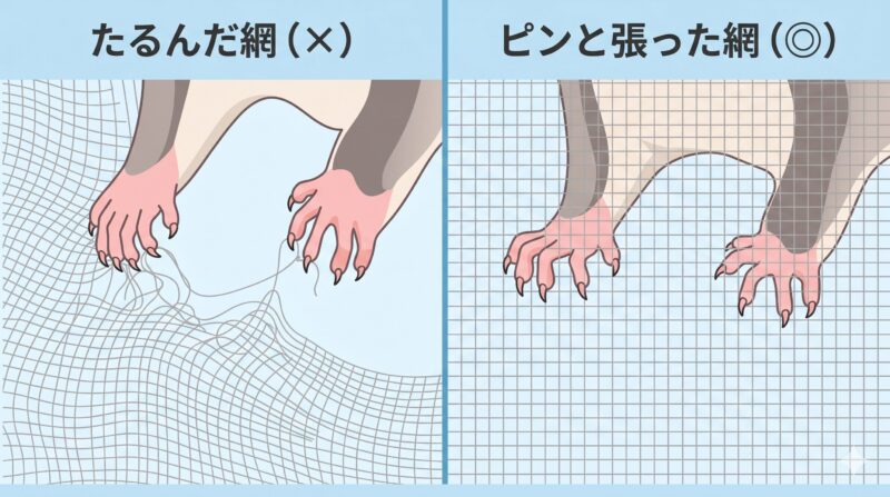 フクロモモンガの爪が引っかかりやすいたるんだ網と安全な張った網の図解