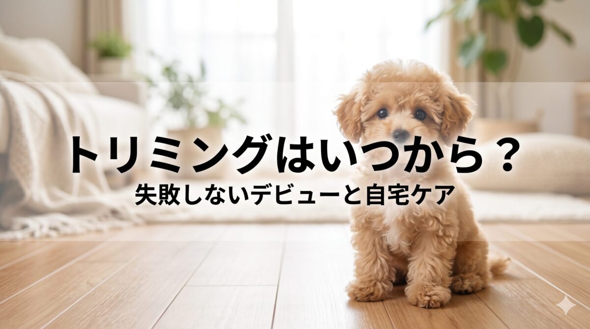 愛犬のトリミングはいつからOK?失敗しないデビューの時期と自宅でできる慣らしケア