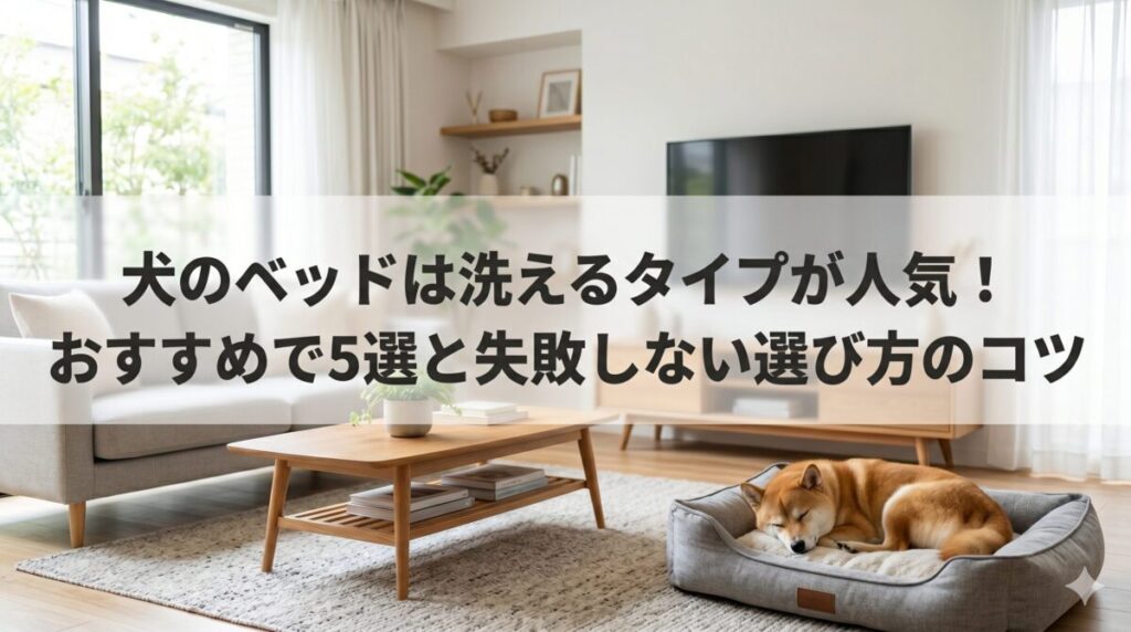 犬のベッドは洗えるタイプが人気！おすすめ5選と失敗しない選び方のコツ