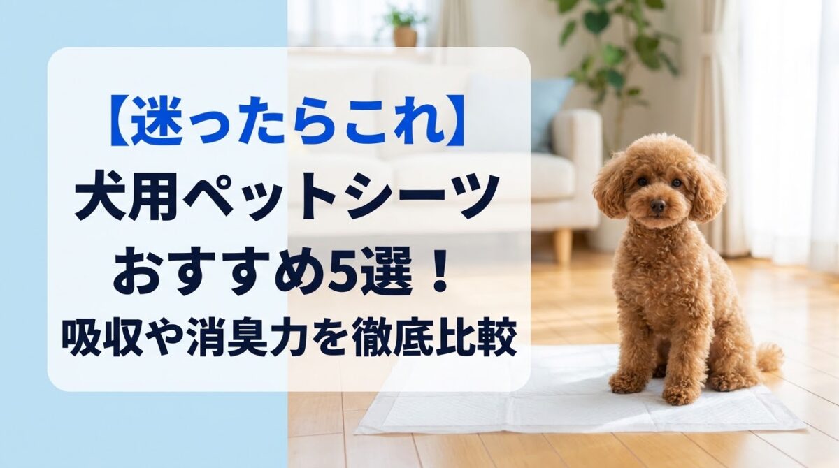 【迷ったらこれ】犬用ペットシーツおすすめ5選!吸収や消臭力を徹底比較